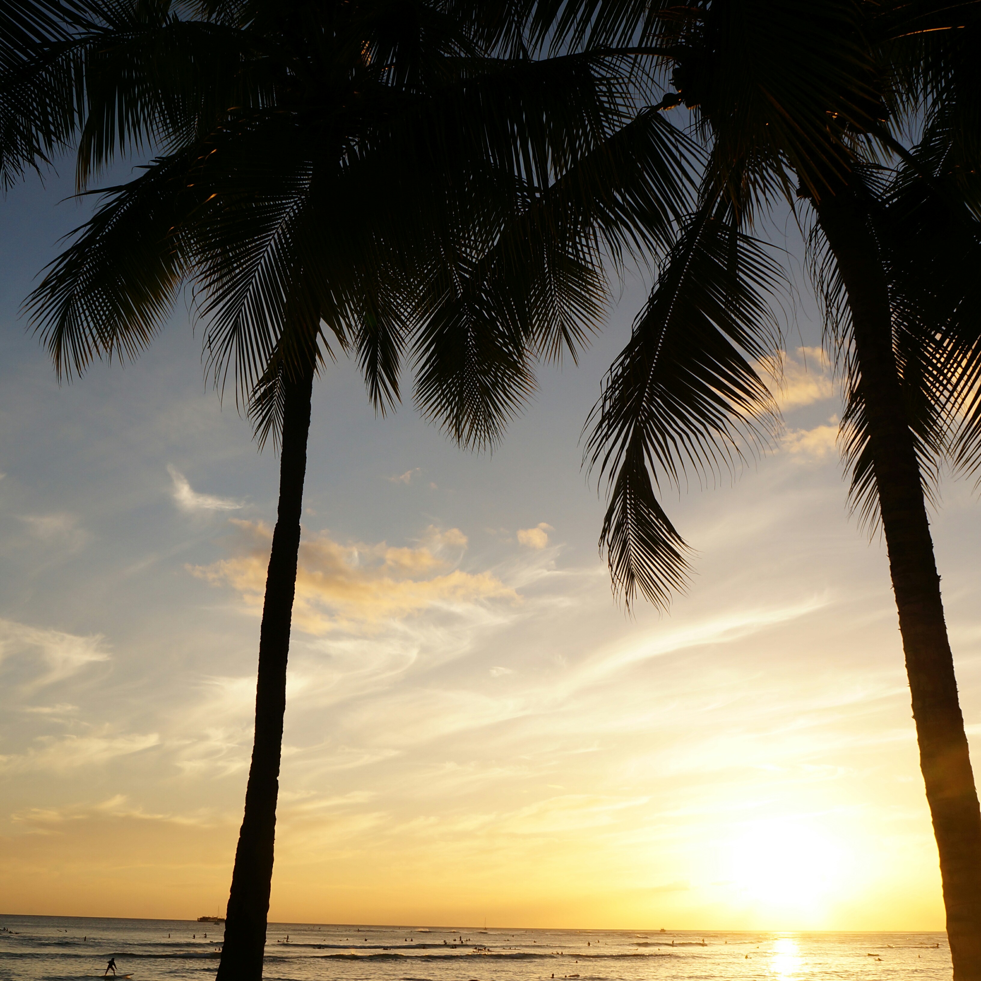 投稿者のアイコン