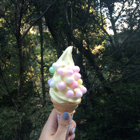 投稿者のアイコン