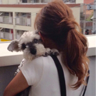 投稿者のアイコン