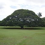 投稿者のアイコン