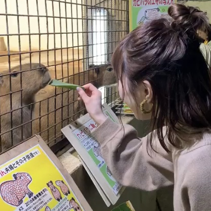 投稿者のアイコン