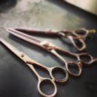 投稿者のアイコン