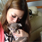 投稿者のアイコン