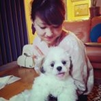 投稿者のアイコン