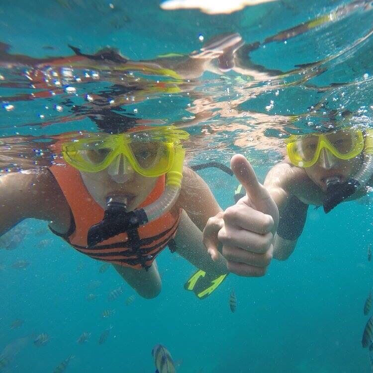 投稿者のアイコン