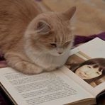 投稿者のアイコン