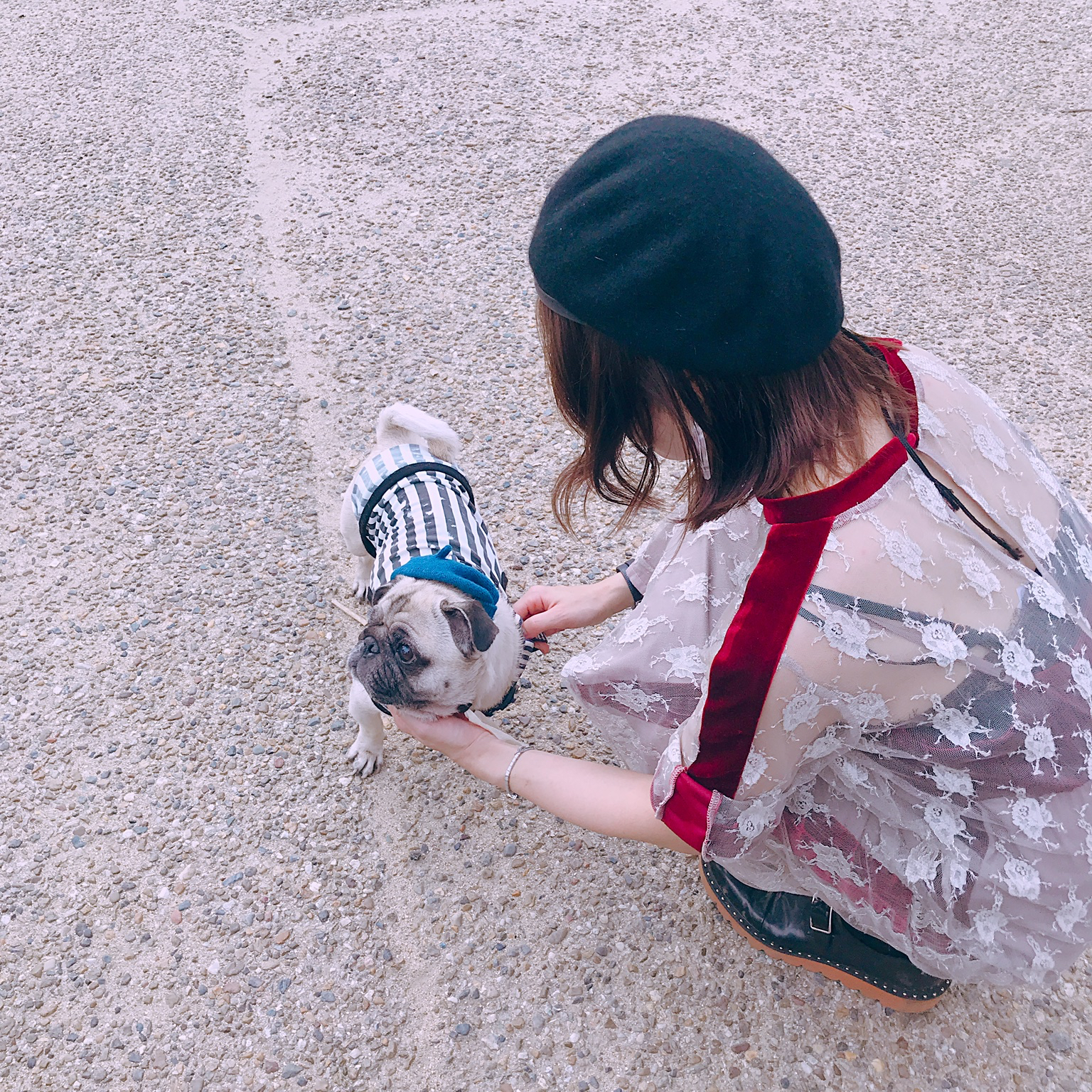 投稿者のアイコン