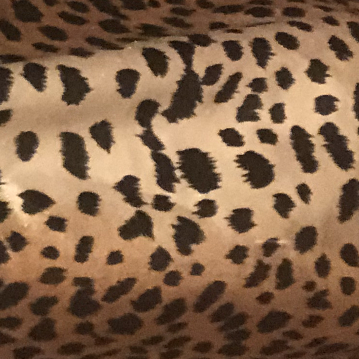 投稿者のアイコン