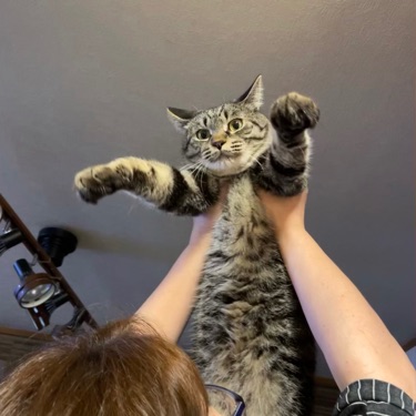 投稿者のアイコン