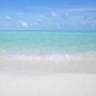 投稿者のアイコン