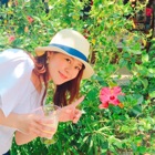 投稿者のアイコン