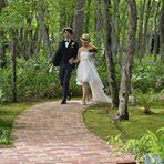 投稿者のアイコン