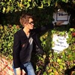 投稿者のアイコン