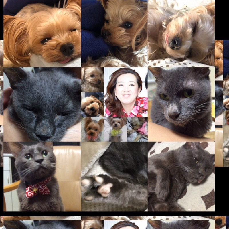 投稿者のアイコン