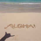 投稿者のアイコン