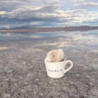 投稿者のアイコン