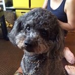 投稿者のアイコン