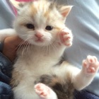 投稿者のアイコン