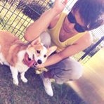 投稿者のアイコン