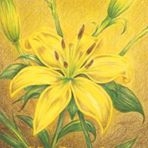 投稿者のアイコン