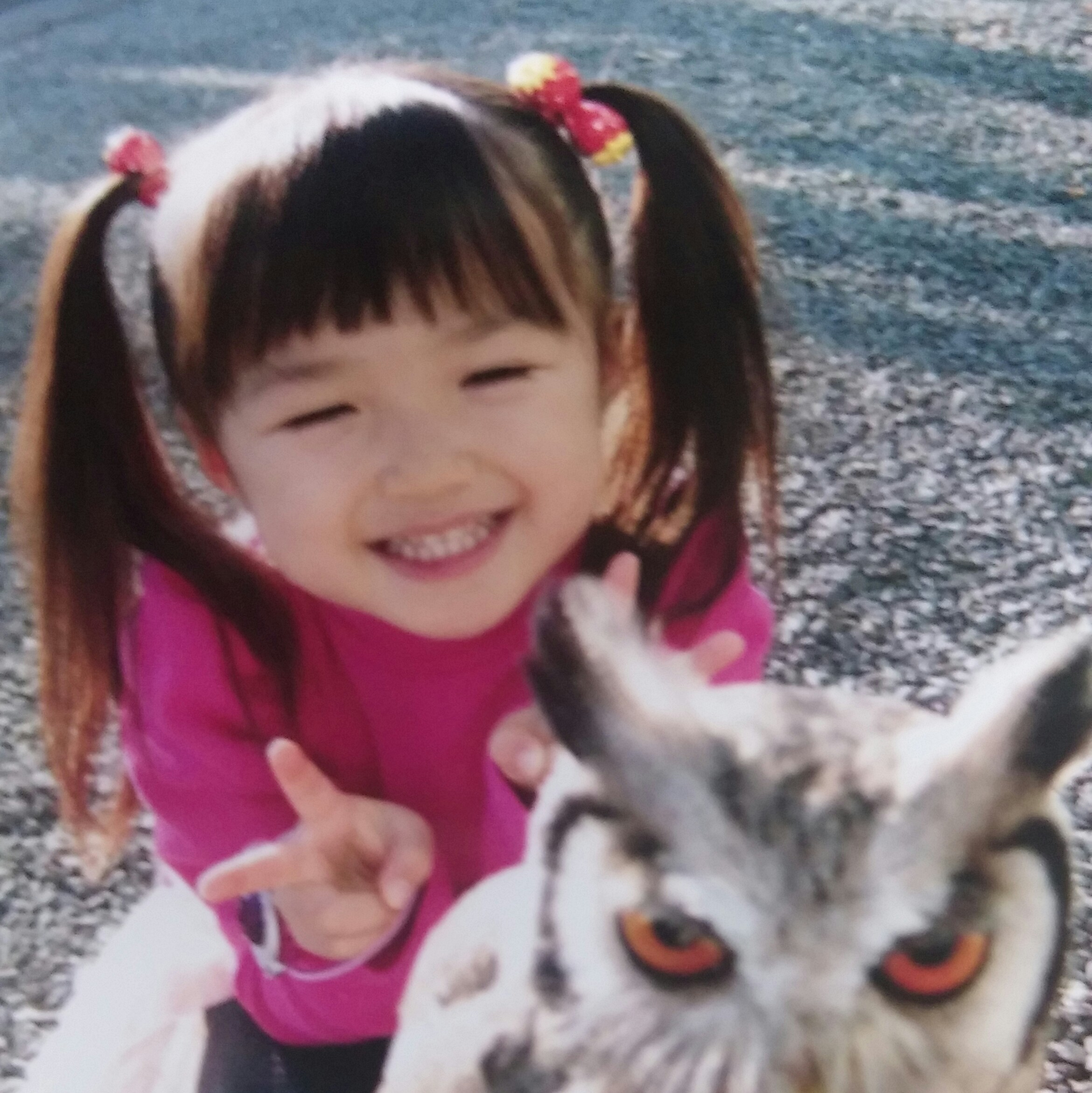 投稿者のアイコン