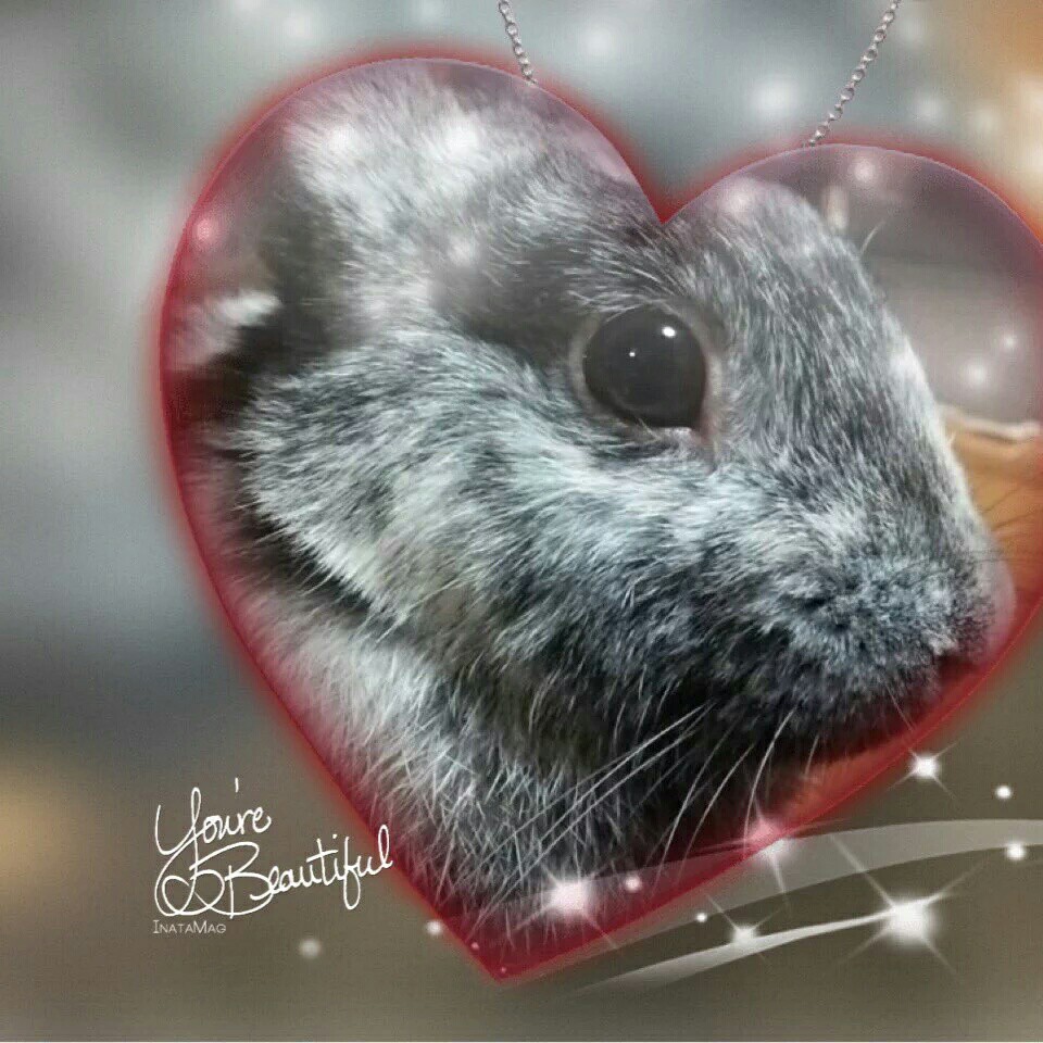 投稿者のアイコン