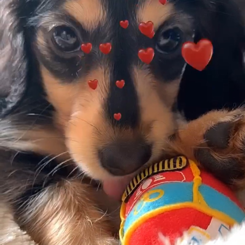 投稿者のアイコン